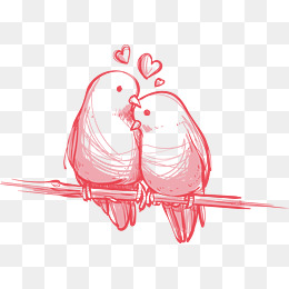 Vector Love Birds Hand Painted, Vector, Hand Painted, Lovebirds Png And Vector - Lovebirds, Transparent background PNG HD thumbnail