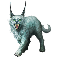 Lynx Png Clipart Png Image - Lynx, Transparent background PNG HD thumbnail