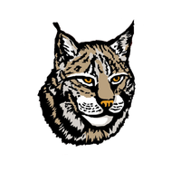 Lynx Png Image Png Image - Lynx, Transparent background PNG HD thumbnail
