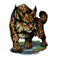 Lynx Png Png Image - Lynx, Transparent background PNG HD thumbnail