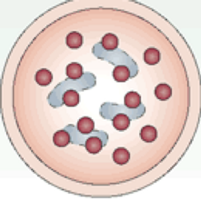 Lysosome - Lysosome, Transparent background PNG HD thumbnail
