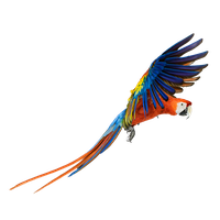 Macaw Png Pic Png Image - Macaw, Transparent background PNG HD thumbnail