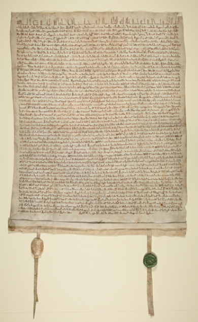 An Original Magna Carta From The Bodleian Libraries, University Of Oxford Will Be On View On Level 2 Of The Art Of The Americas Building During The Annual Hdpng.com  - Magna Carta, Transparent background PNG HD thumbnail