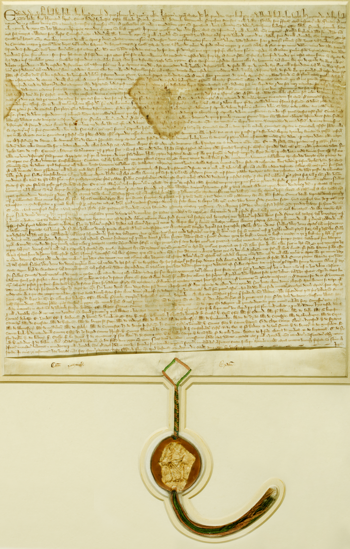 The Magna Carta Lies At The Heart Of Australian Parliamentary Democracy. Parliament House Has A 1297 Edition Of The Magna Cartau2014One Of Only Four In Hdpng.com  - Magna Carta, Transparent background PNG HD thumbnail