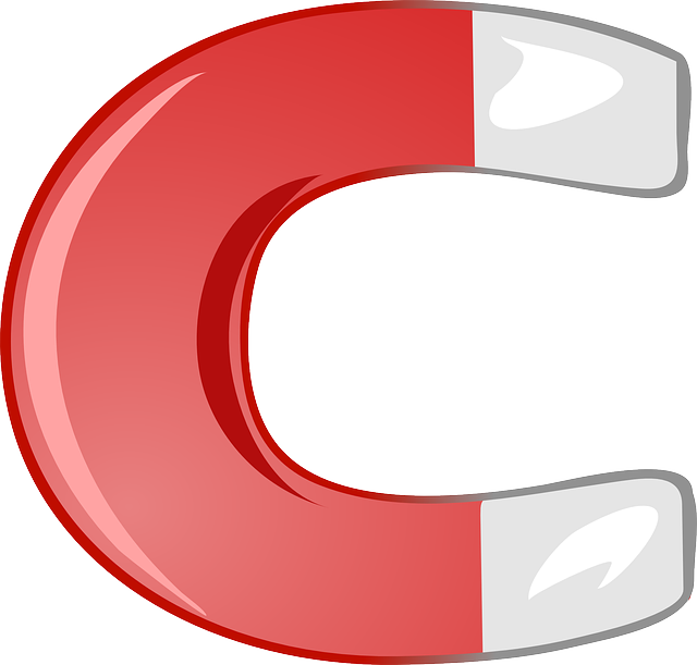 Red and blue magnet vector cl