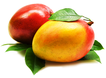 Mango HD PNG - Mango Clipart 