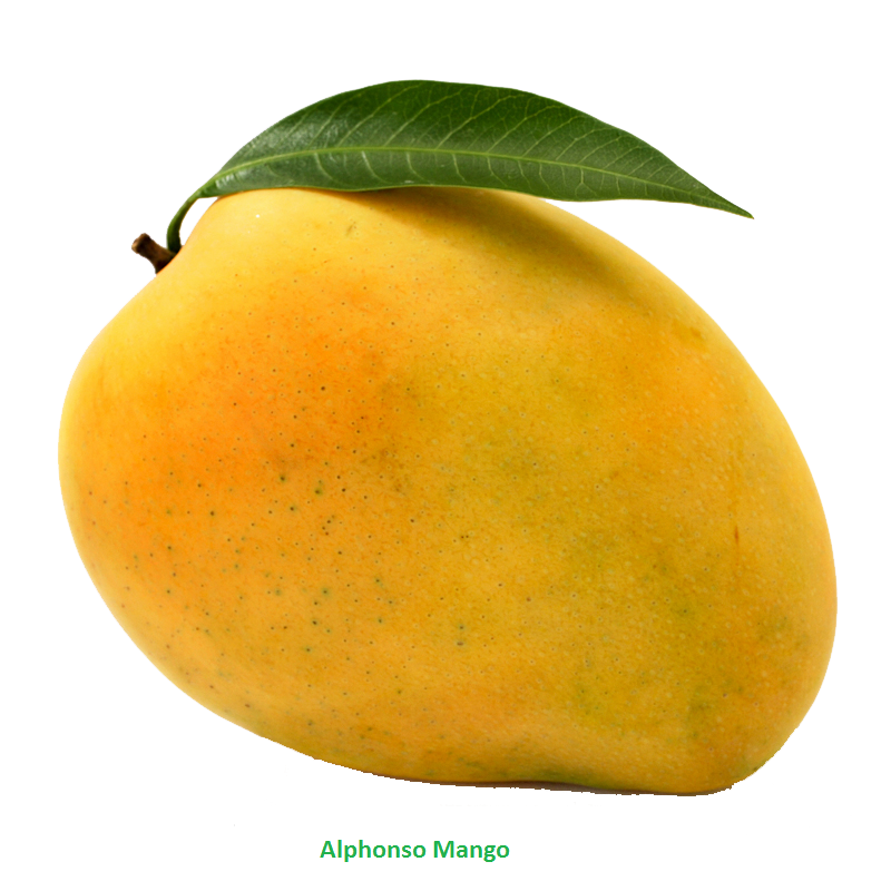 Mango HD PNG - Mango Image