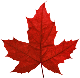 Canada Leaf Png File Png Image - Maple Leaf, Transparent background PNG HD thumbnail