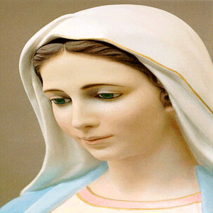 App Virgin Mary Wallpaper Apk For Windows Phone - Mary, Transparent background PNG HD thumbnail