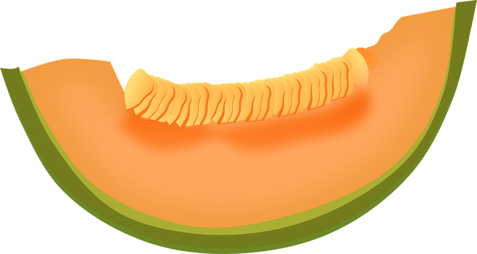 Cantaloupe, Melon, Fruit, Food, Fresh, Healthy, Sweet - Melon, Transparent background PNG HD thumbnail