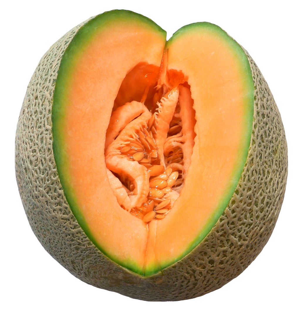 Melon Png - Melon, Transparent background PNG HD thumbnail