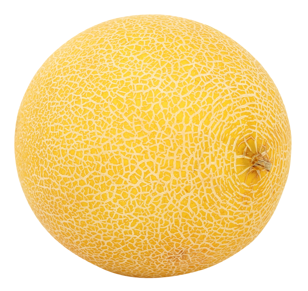 melon-fiche-bonduelle