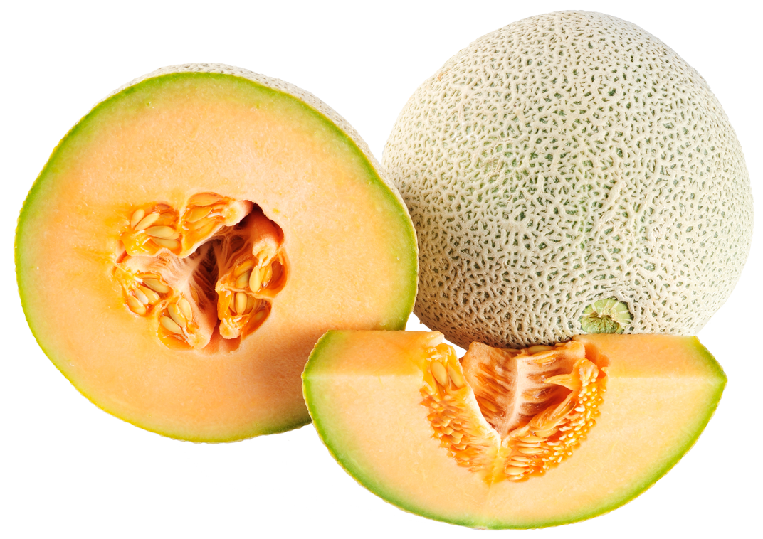 Musk-melon [मस्क म