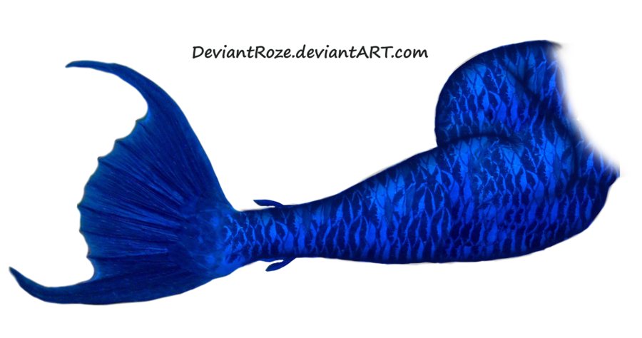 Download Mermaid Tail Png Images Transparent Gallery. Advertisement - Mermaid Tail, Transparent background PNG HD thumbnail