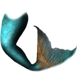 Mermaid Tails · 0_98Dcb_64A8Bdc9_Orig.png - Mermaid Tail, Transparent background PNG HD thumbnail
