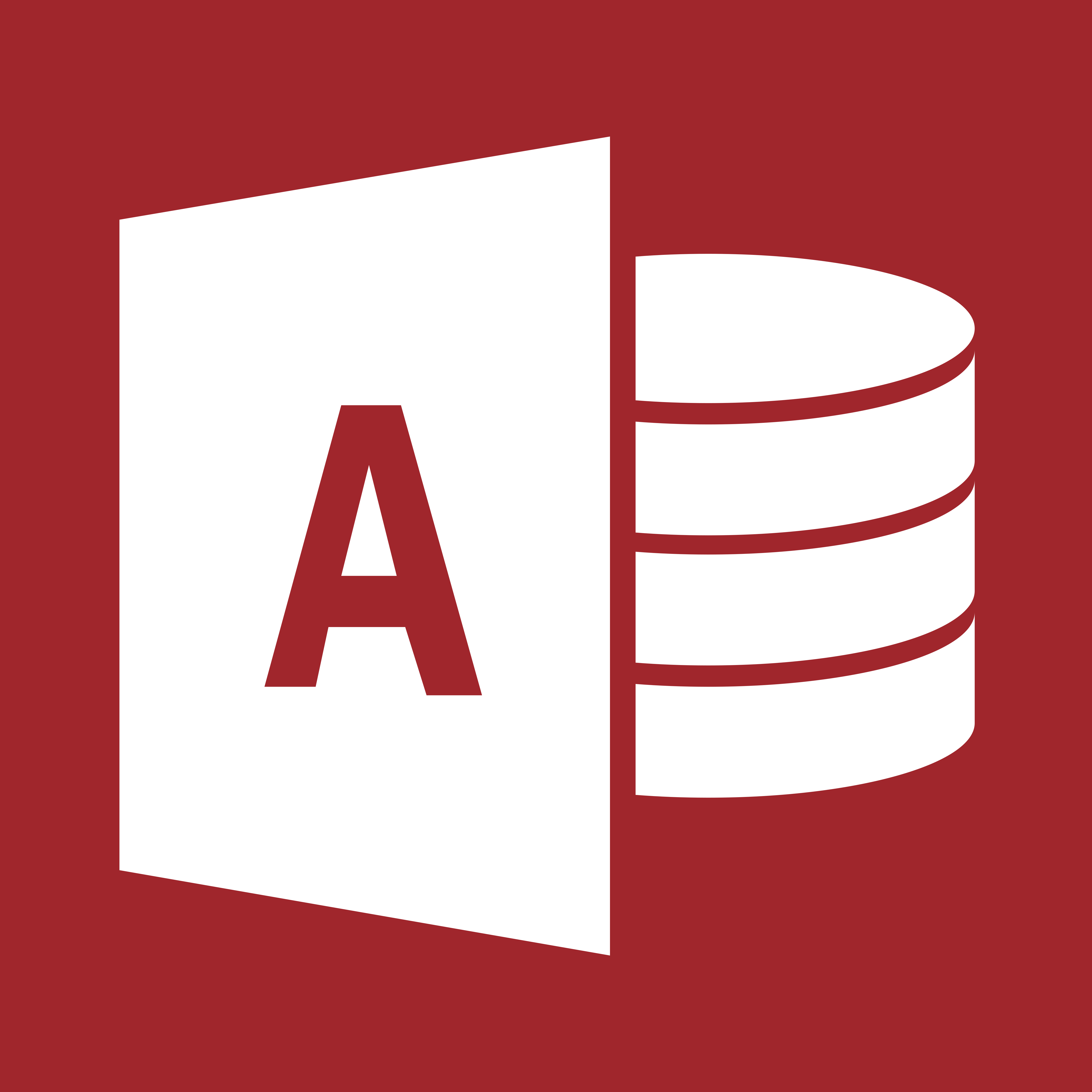Microsoft Access Icon - Micro