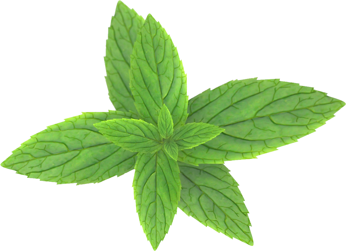 Pepermint Png - Mint, Transparent background PNG HD thumbnail