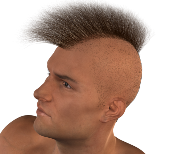 Real_Hairy_Military_Mohawk3.png - Mohawk Hair, Transparent background PNG HD thumbnail