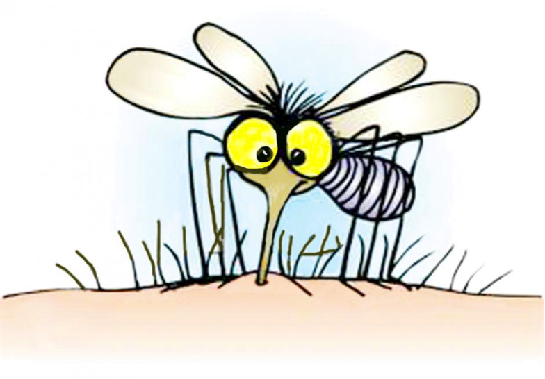 Mosquito Bite Itch - Mosquito Bite, Transparent background PNG HD thumbnail