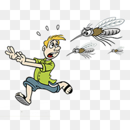 Mosquito Bites, Escape, Cartoon, Mosquito Png Image - Mosquito Bite, Transparent background PNG HD thumbnail