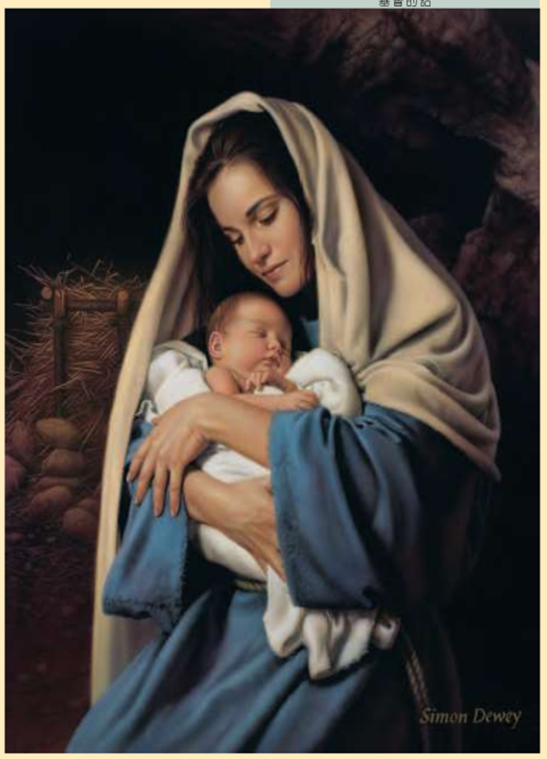 Mary Mother Of Jesus Lds   Google Search - Mother Of Jesus, Transparent background PNG HD thumbnail