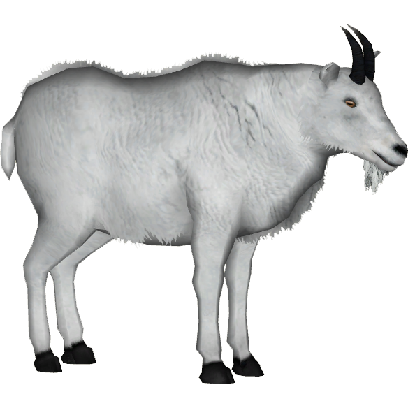 Mountain Goat (Platypus)4.png - Mountain Goat, Transparent background PNG HD thumbnail