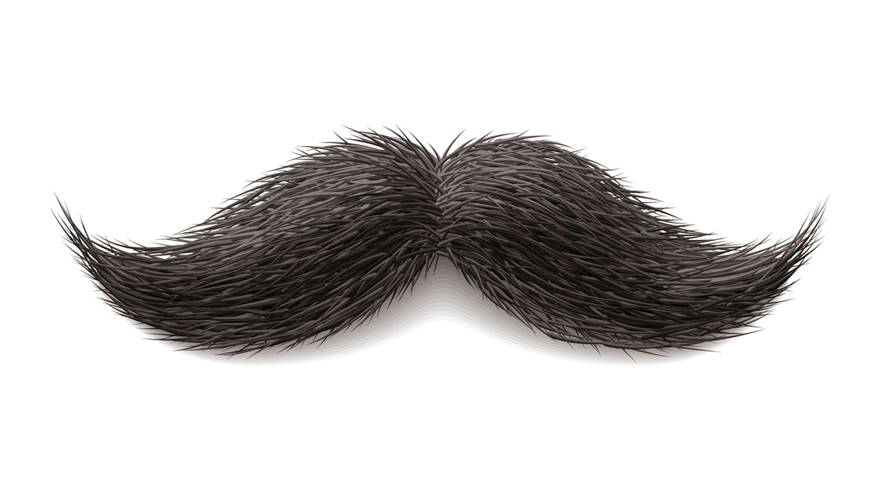 53 Free Samples By Mail With No Surveys 2014 - Moustache, Transparent background PNG HD thumbnail