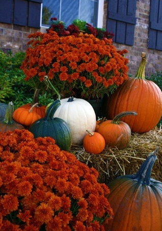 Mums And Pumpkins Png - Love The Mums With The Hay Bale And Pumpkins (Tons Of Halloween/fall Decor Ideas From The Thrifty Decor Chick), Transparent background PNG HD thumbnail