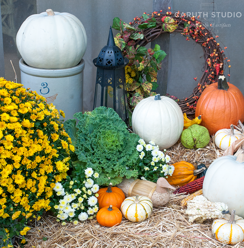 Mums And Pumpkins Png - Pumpkins, Wreath, Lantern, And Flowering Mums, Transparent background PNG HD thumbnail