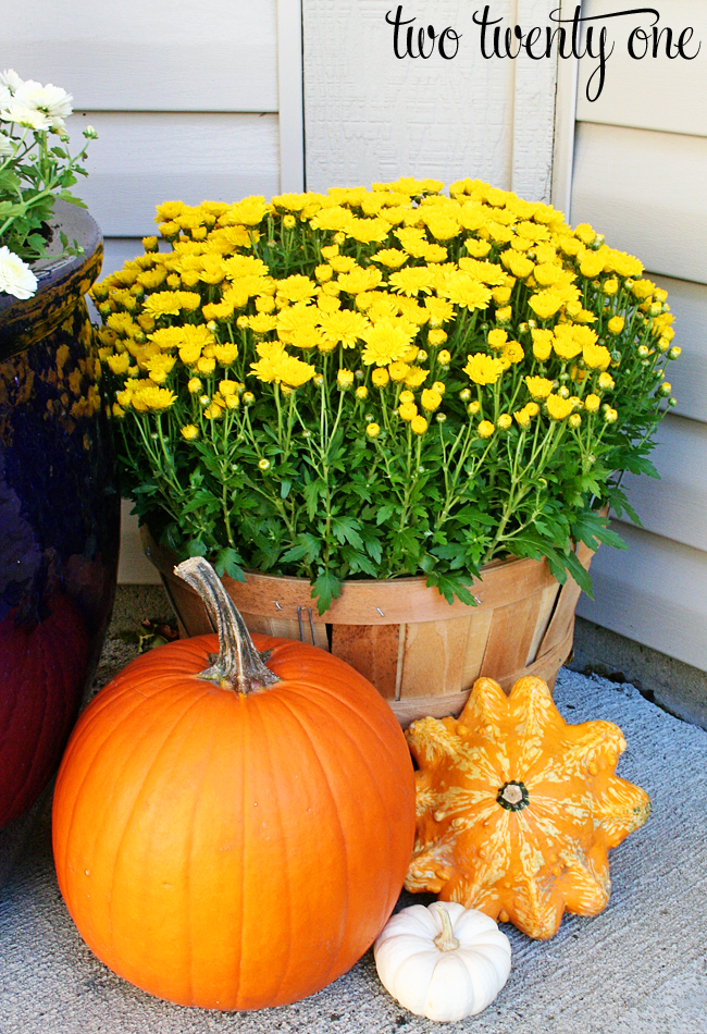 Mums And Pumpkins Png - The Massive Cobalt Blue Planter Has Lived On Our Front Porch For Three Years. And Itu0027S Not Going Anywhere Soon Because That Sucker Weighs At Least 300 Hdpng.com , Transparent background PNG HD thumbnail