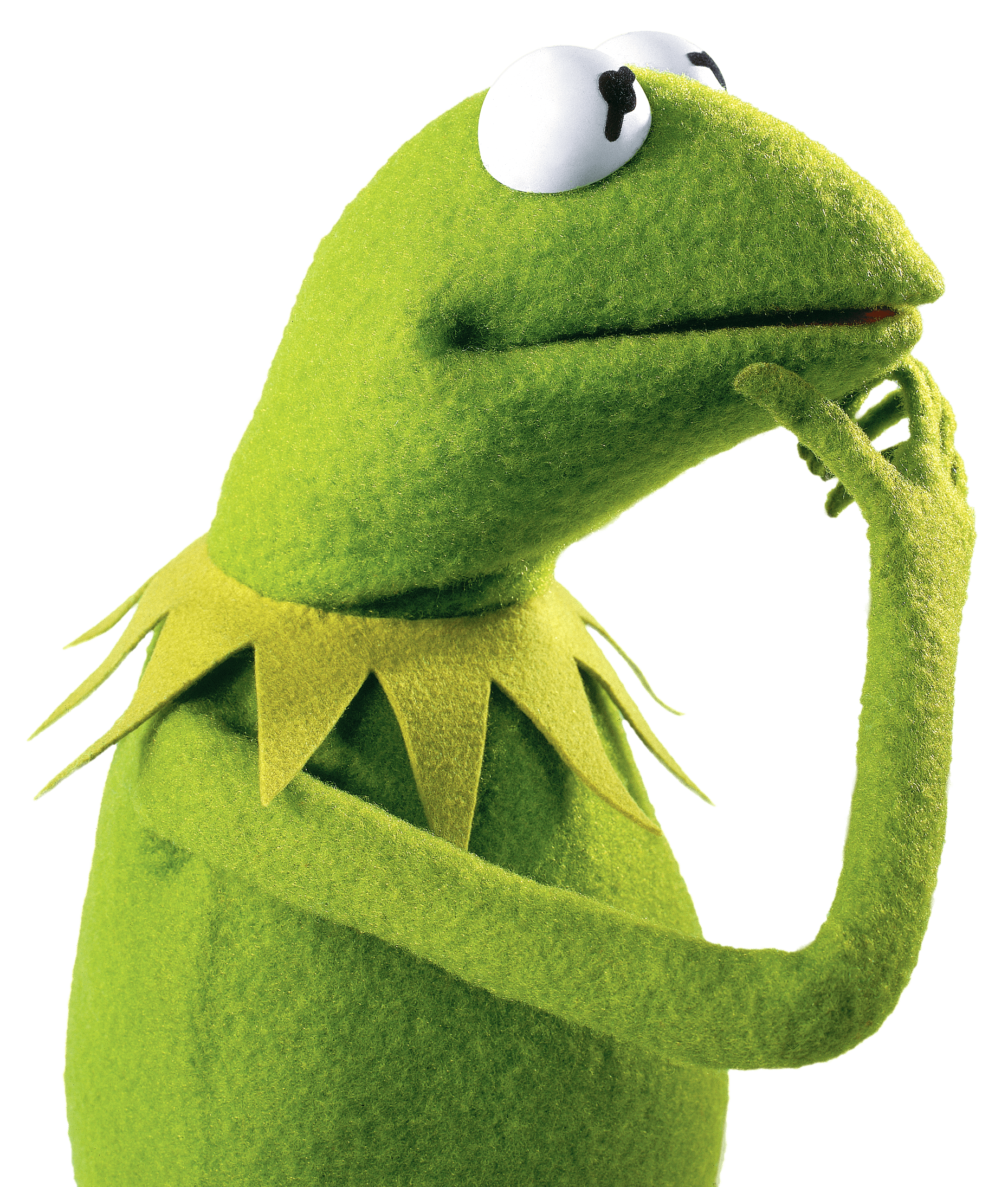 Kermit The Frog Thinking - Muppets, Transparent background PNG HD thumbnail