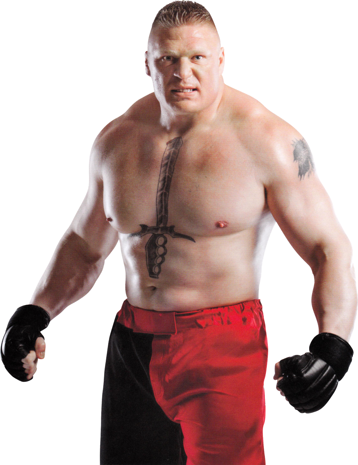 Muscle Arm Png Hd - Brock Lesnar Png Hd, Transparent background PNG HD thumbnail