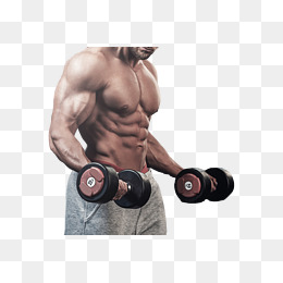 Coach In The Gym Lifting Weights, Muscle Fitness, Developed Muscles, Muscular Png Image - Muscle Arm, Transparent background PNG HD thumbnail
