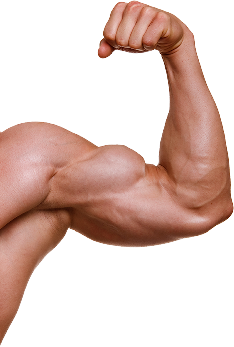 It Just Doesnu0027T Know When To Quit. - Muscle Arm, Transparent background PNG HD thumbnail