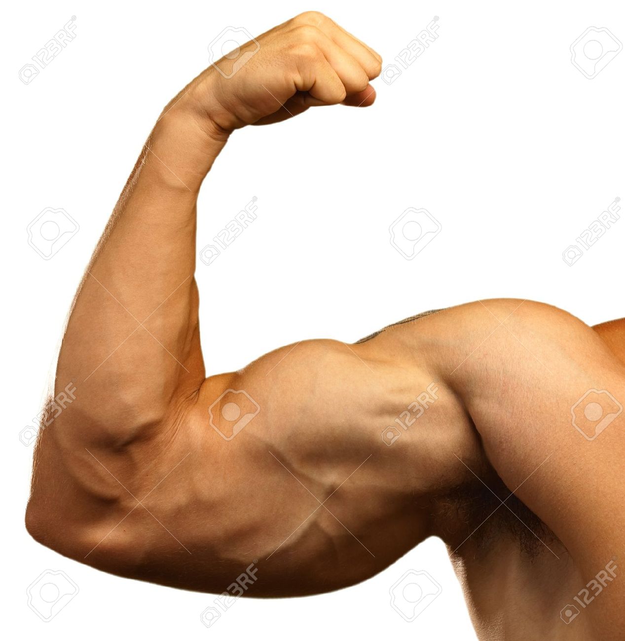 Photos - Muscle Arm, Transparent background PNG HD thumbnail