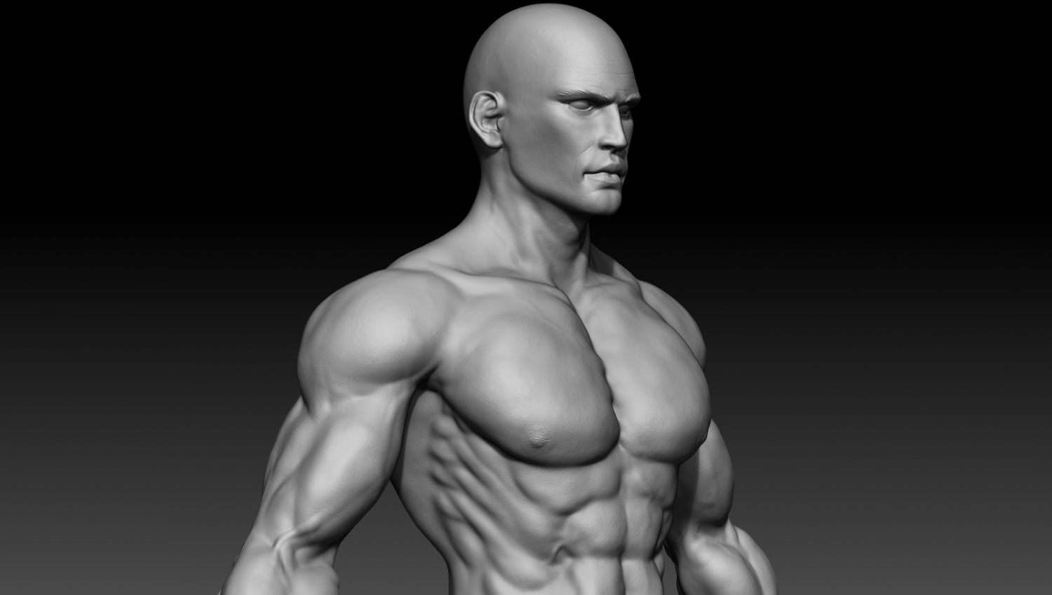 Muscle Png Hd Hdpng.com 1500 - Muscle, Transparent background PNG HD thumbnail