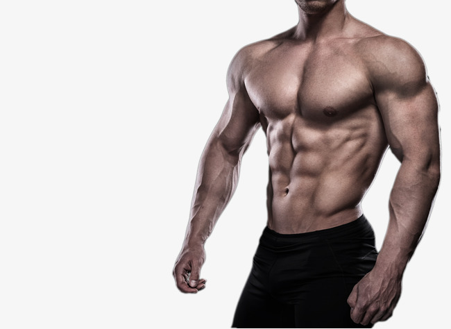 Menu0027S Fitness Side Hd Photograph, Muscle Fitness, People Muscle, Motion Pictures Free Png Image - Muscle, Transparent background PNG HD thumbnail