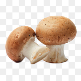Hd Mushroom Mushroom, Mushroom, Vegetables, Green Png Image - Mushroom, Transparent background PNG HD thumbnail