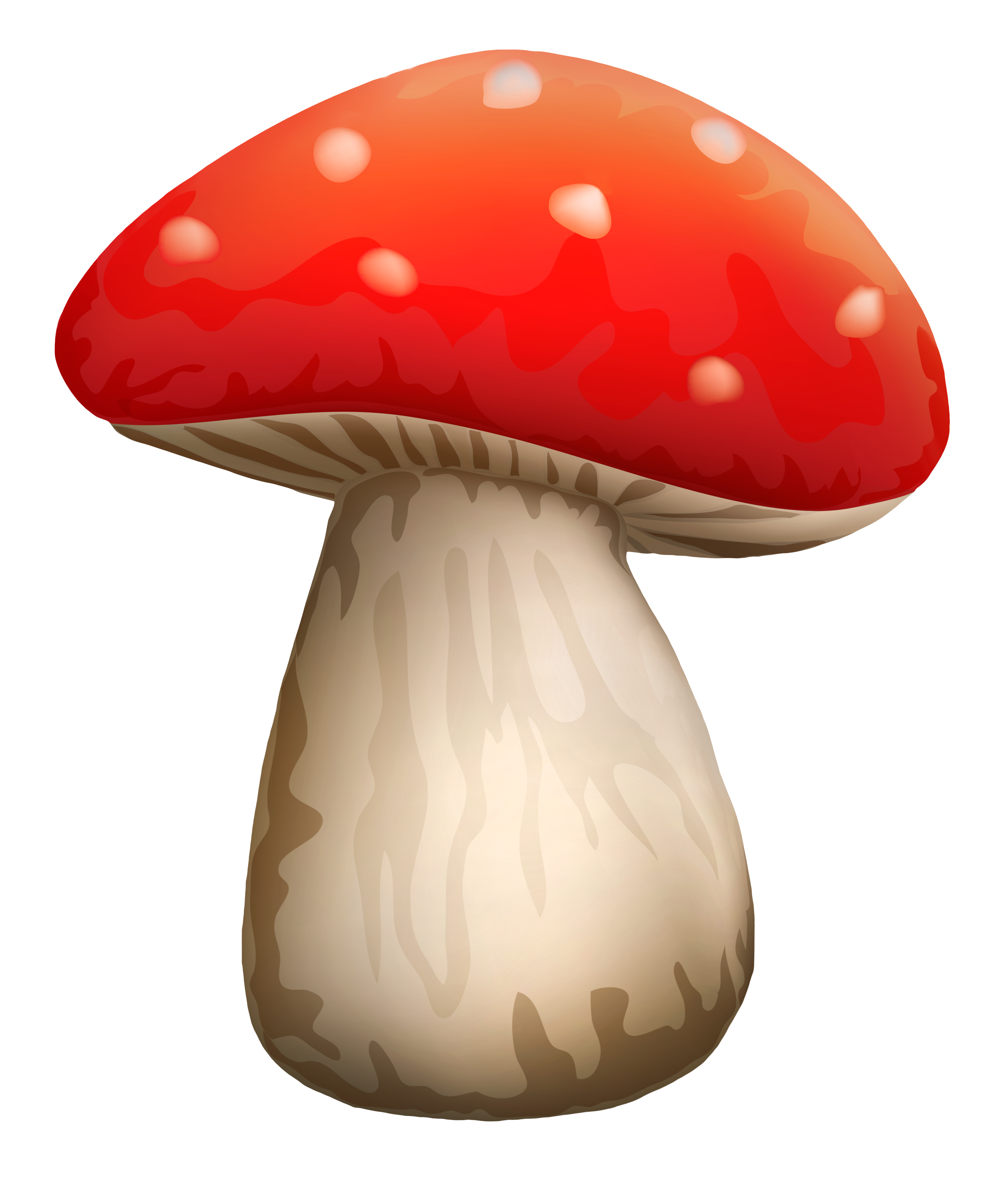 Magic Mushroom Png Image #42876   Mushroom Png - Mushroom, Transparent background PNG HD thumbnail