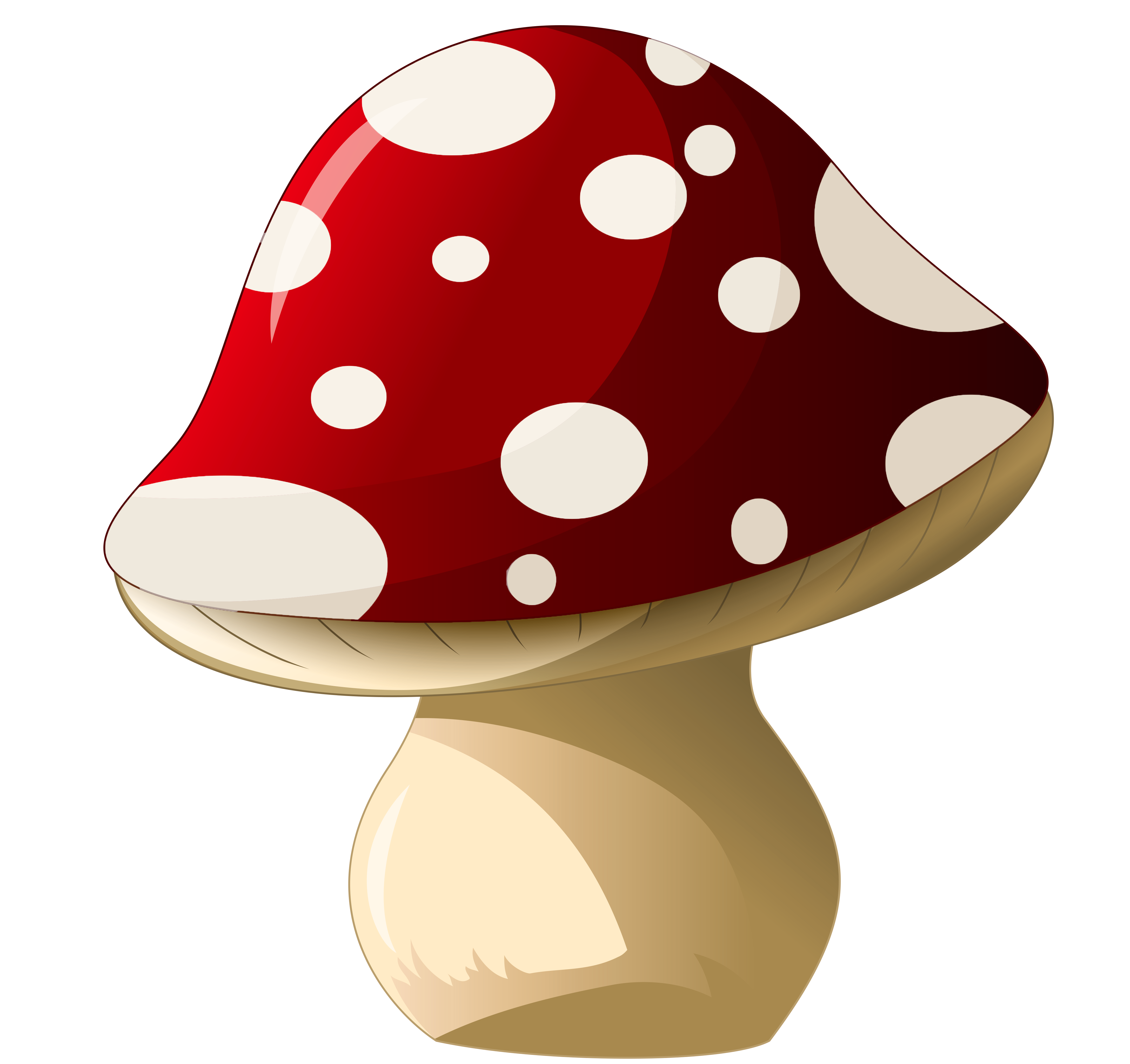 Mushroom Hd Clipart - Mushroom, Transparent background PNG HD thumbnail