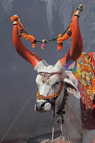 Shiva on Nandi bull by Vrinda