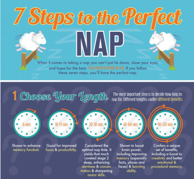 Photo: The Art Of Wellbeing - Nap Time, Transparent background PNG HD thumbnail