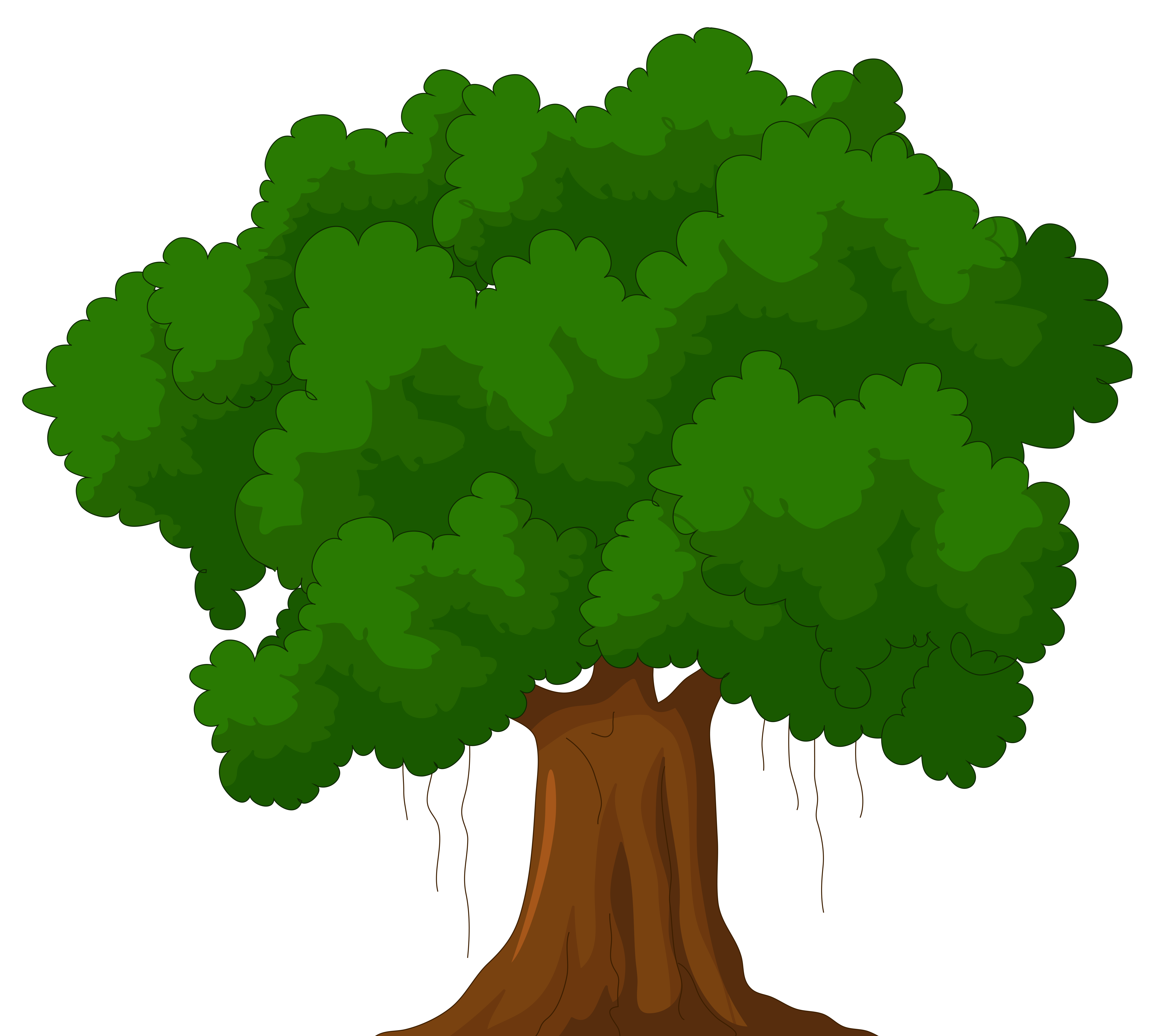 Cartoon Green Tree Clipart Web Clipart - Narra Tree, Transparent background PNG HD thumbnail