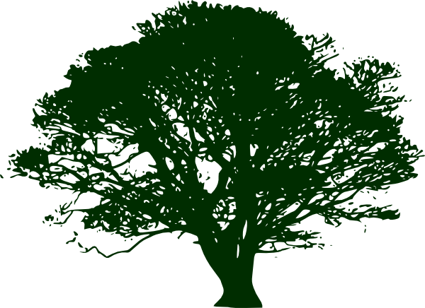 Png: Small · Medium · Large - Narra Tree, Transparent background PNG HD thumbnail