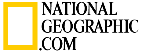 Report - Nat Geo Vector, Transparent background PNG HD thumbnail