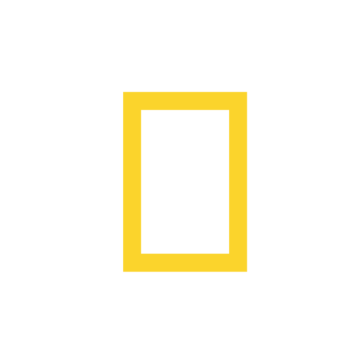 Cropped National Geographic Logo Yellow Frame.png - National Geographic, Transparent background PNG HD thumbnail