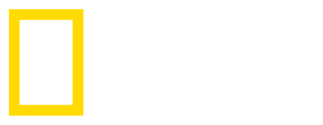 National Geographic Logo PNG 