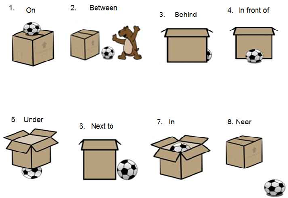 Prepositions Is Vital - Near Preposition, Transparent background PNG HD thumbnail