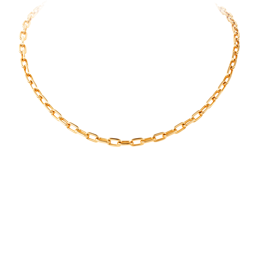 Jewellery Necklace PNG Transp