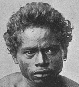 File:solarian Of Adanara Island Indonesian Mongoloid Australoid Negrito.png - Negrito, Transparent background PNG HD thumbnail